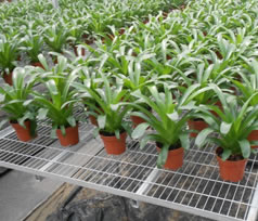 小孔鐵絲網相關信息